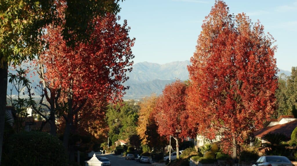Driving Tips in the Fall